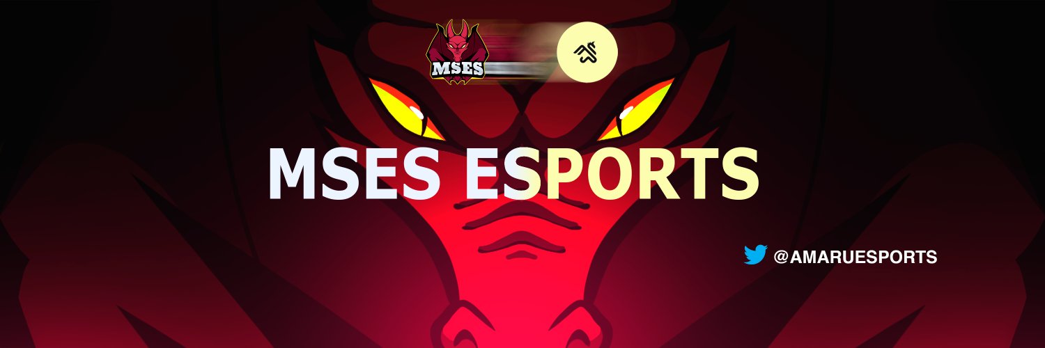 MSES eSports banner