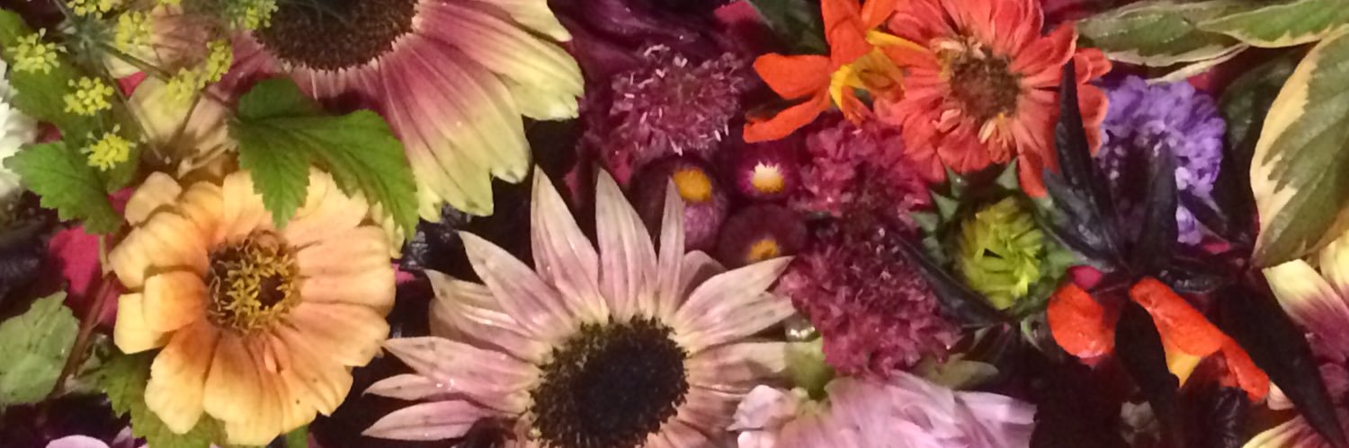FlowerFusions's profile banner image