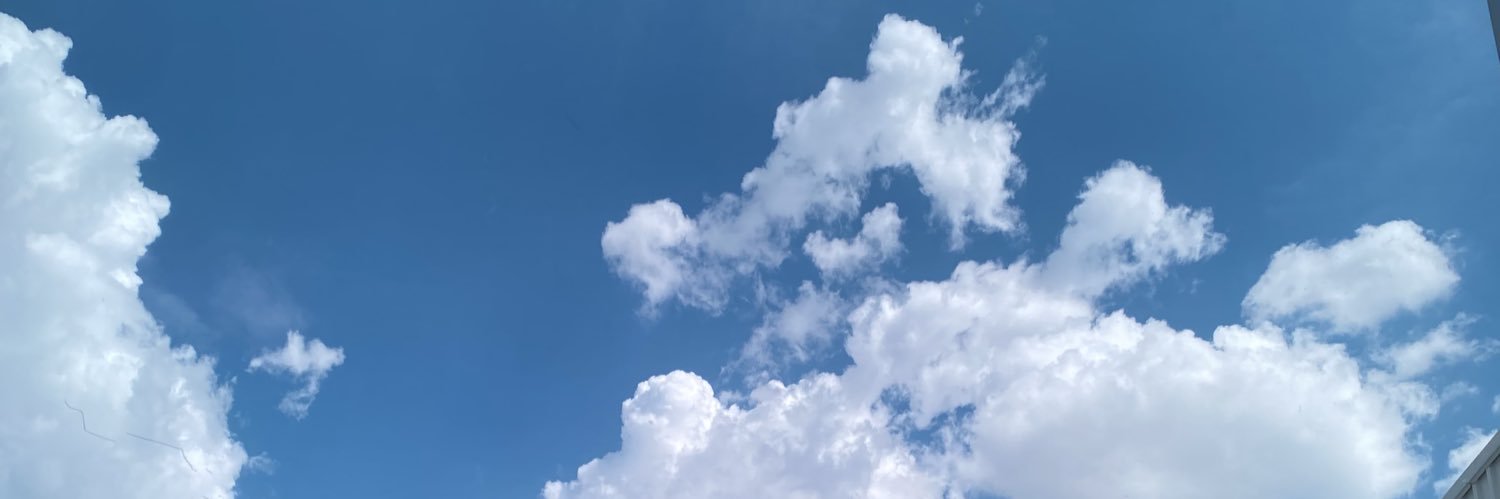 Bannanafer's profile banner image