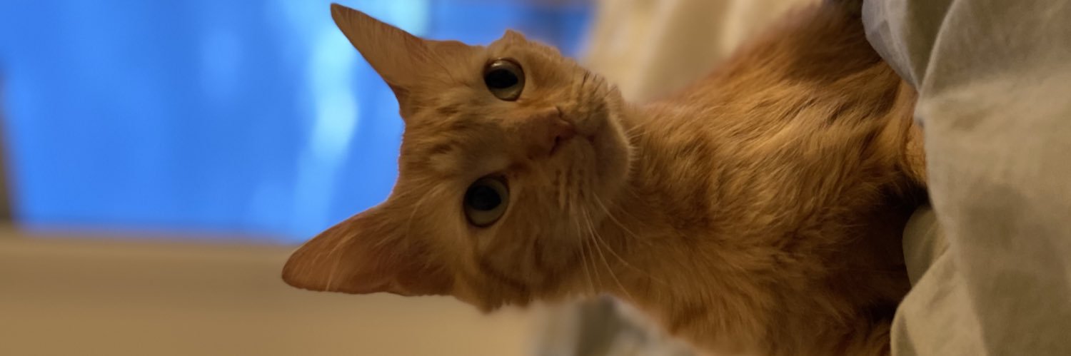 Alex_Crpt's profile banner image