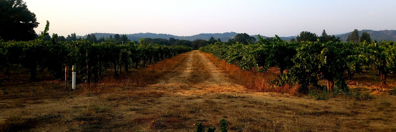 T_Buhler's profile banner image