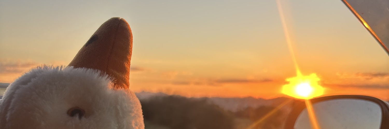 isabellarmp01's profile banner image