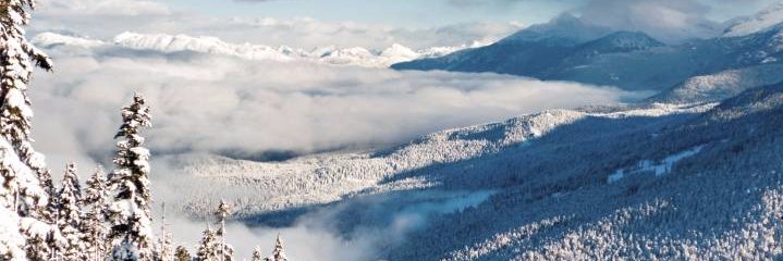 toddwwilson's profile banner image
