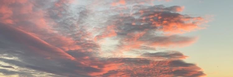 BillurAkbulut3's profile banner image