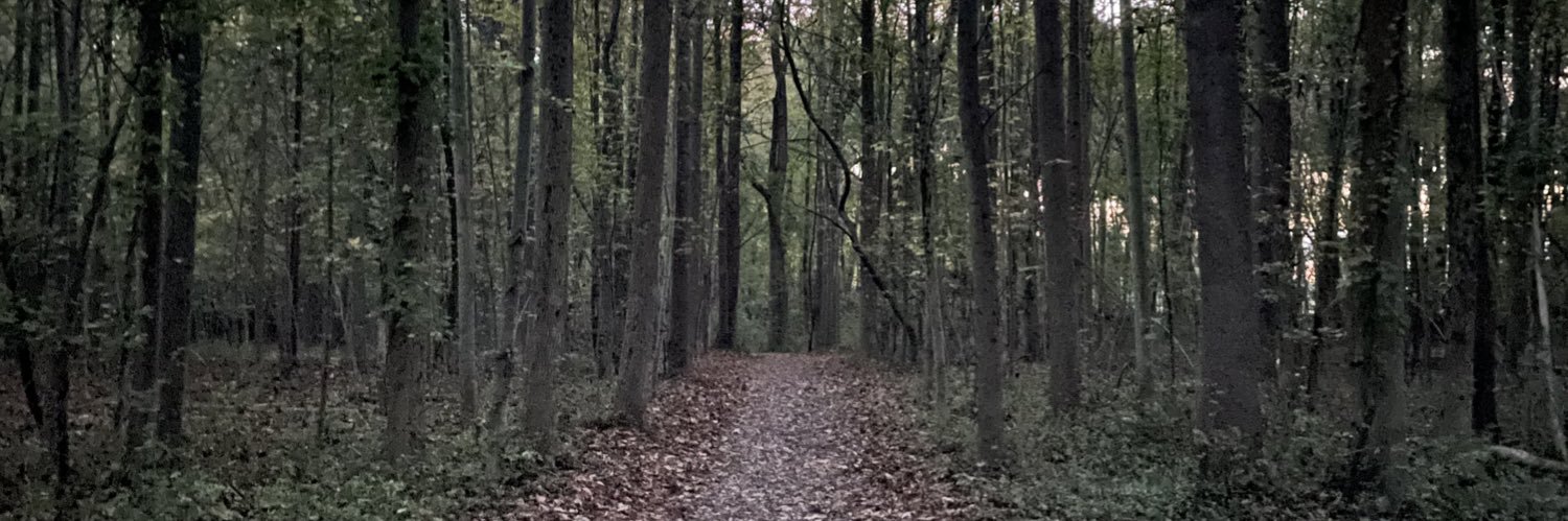 Adubs26's profile banner image
