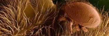 dep1699's profile banner image