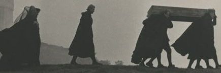 XX chromosome banner