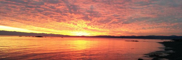 dfmonk Profile Banner