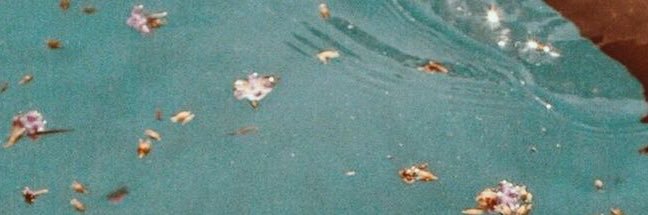 tomlintrippin's profile banner image