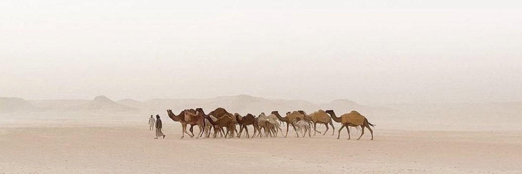 Muhnnad A. AlGhamdi banner