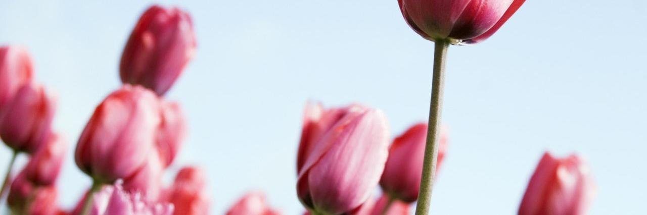 natashacarroll's profile banner image