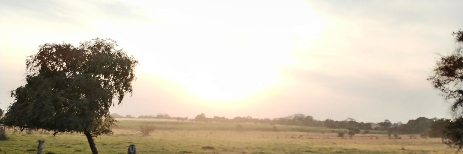samueldogui's profile banner image