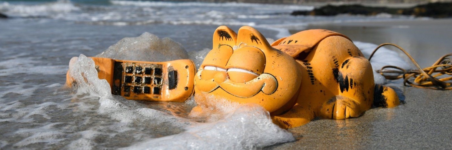 Tyler Snodgrass banner