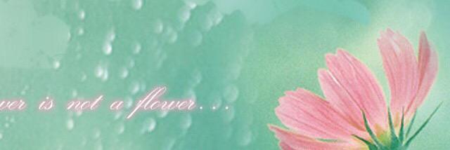 bnooo___'s profile banner image