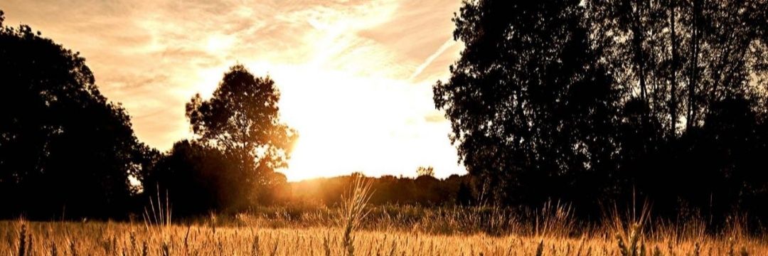 Redneck_Gal37's profile banner image