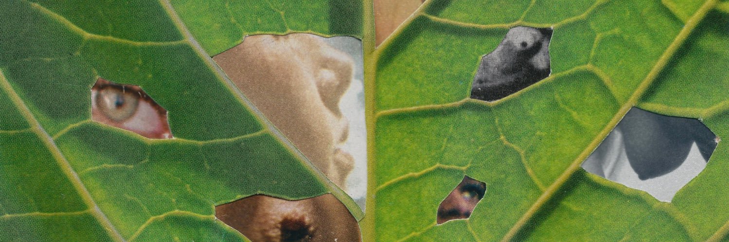 6vnglei's profile banner image