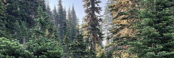 slwein Profile Banner