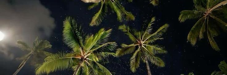 mariane💆🏼‍♀️ banner