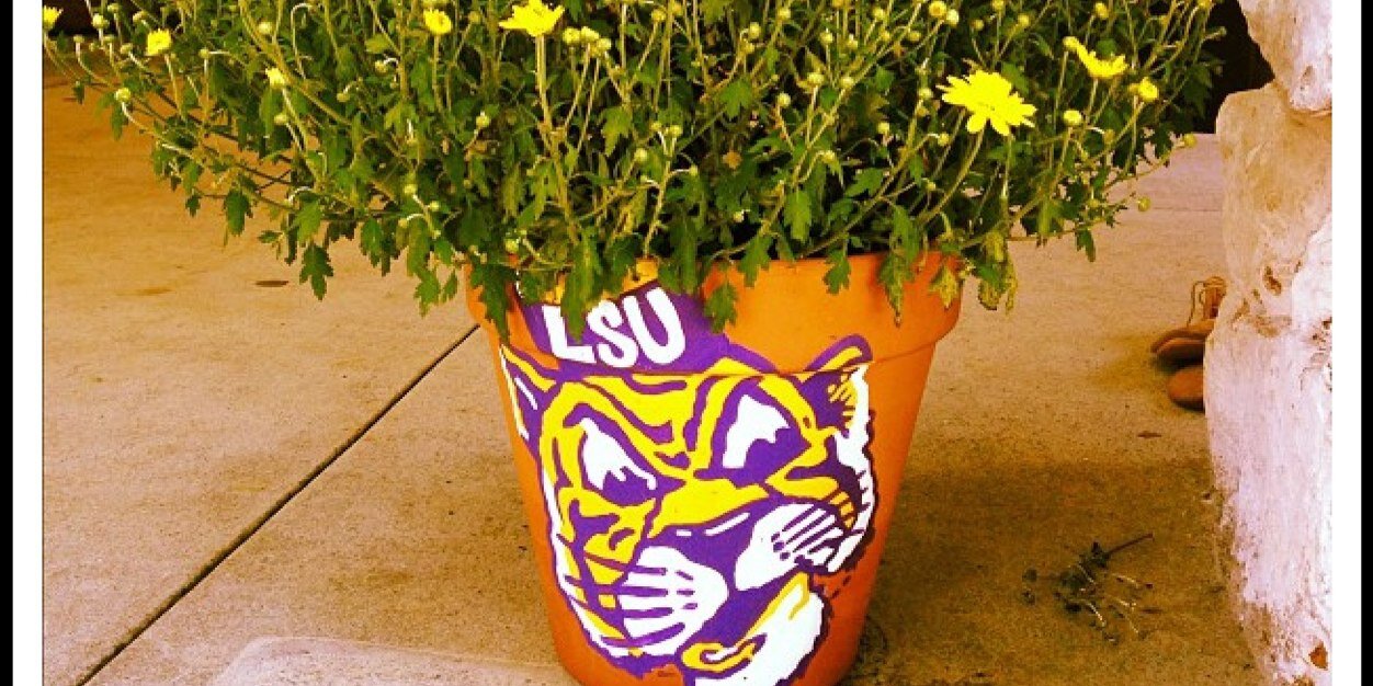 linsdavis's profile banner image