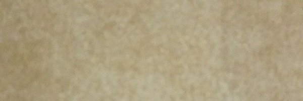 Ddpai Profile Banner