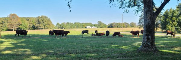 RandyGWheeler1 Profile Banner