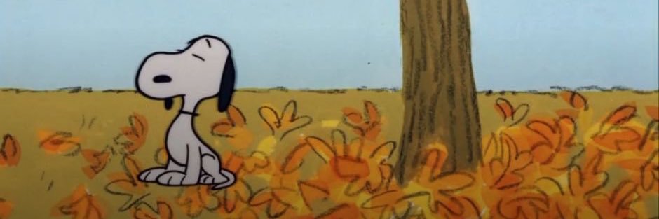 tortecake22's profile banner image