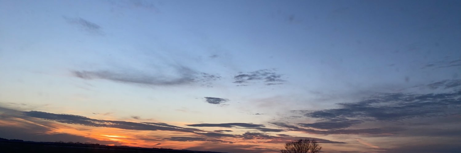 makferg banner