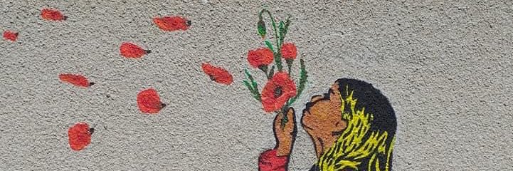 CascadeDreams_'s profile banner image