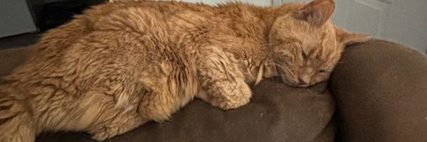 RealEvanDoThin1 Profile Banner