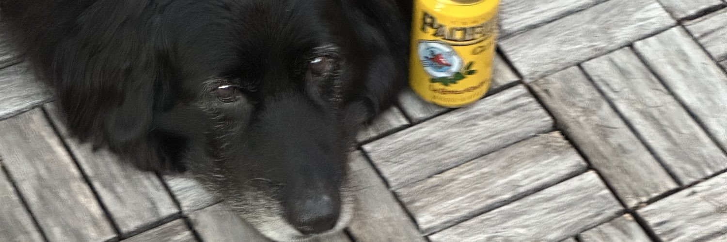 Guillermo el Gato banner