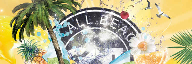SURF ALL BEACHES banner