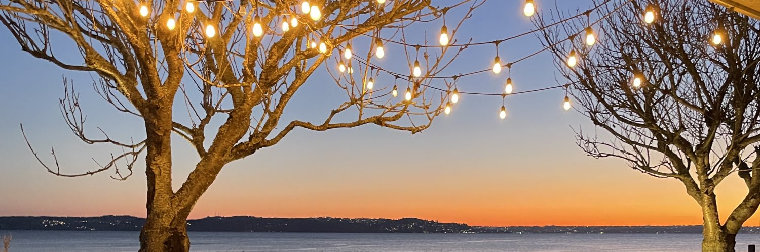 SeattleBeachBum's profile banner image