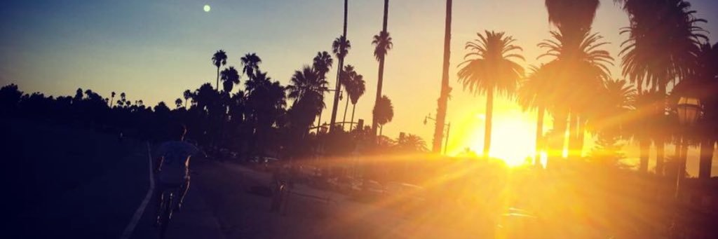 lucydifede's profile banner image