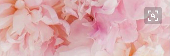 alexagmiller's profile banner image
