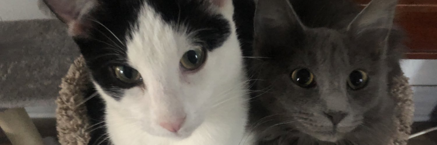 AbvlorLaura's profile banner image
