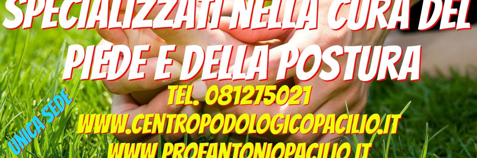 dottpacilioa's profile banner image
