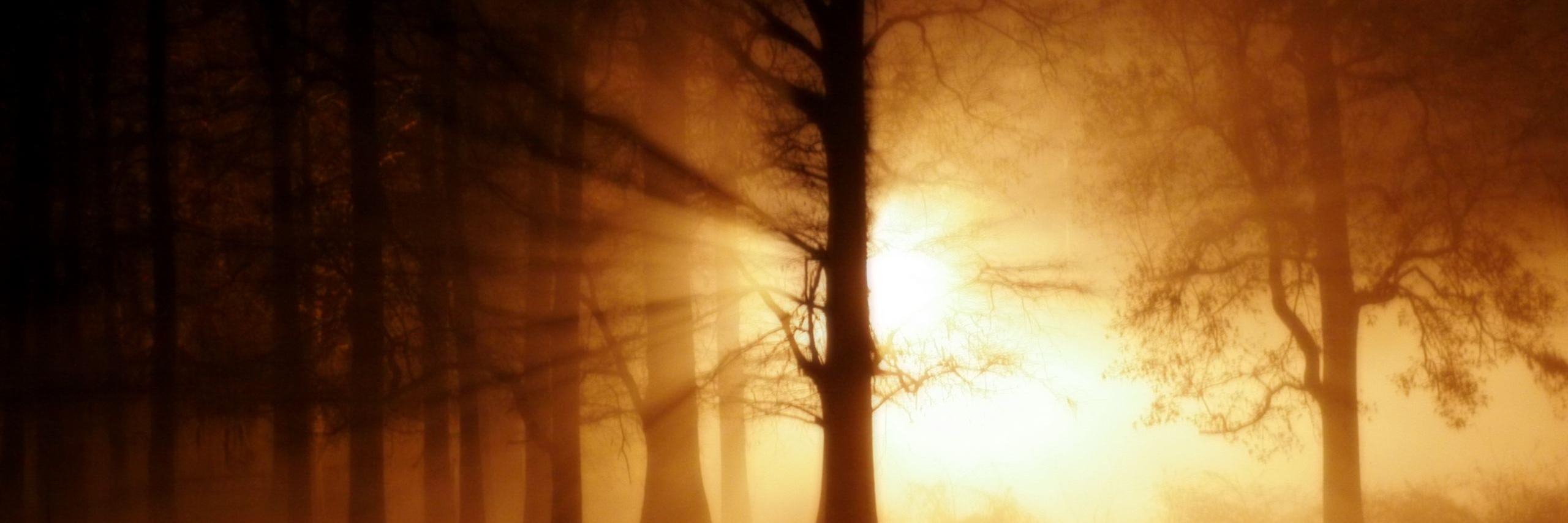 Ehyrt Nâyth ✊🏼♀️ banner