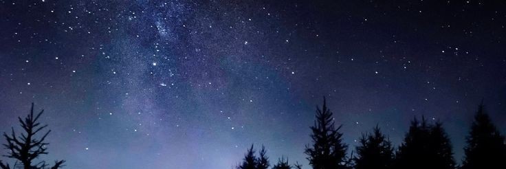 freireduduzin's profile banner image