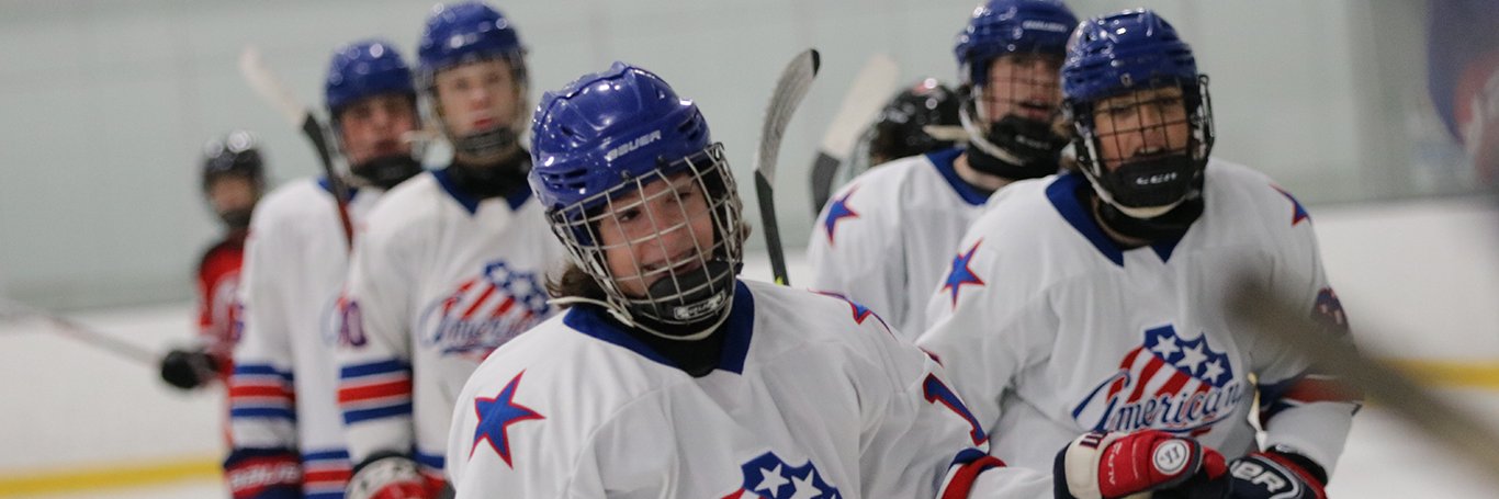 Rochester Jr. Americans banner