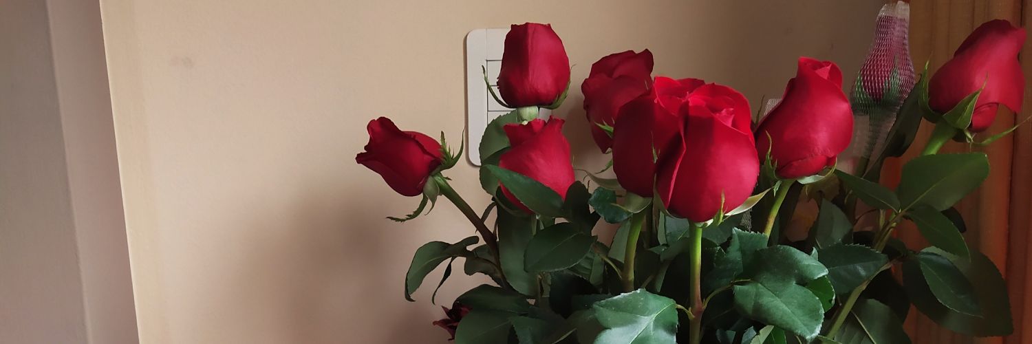 Danitza Lévano banner