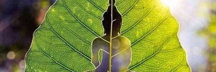 gomtiwal13's profile banner image
