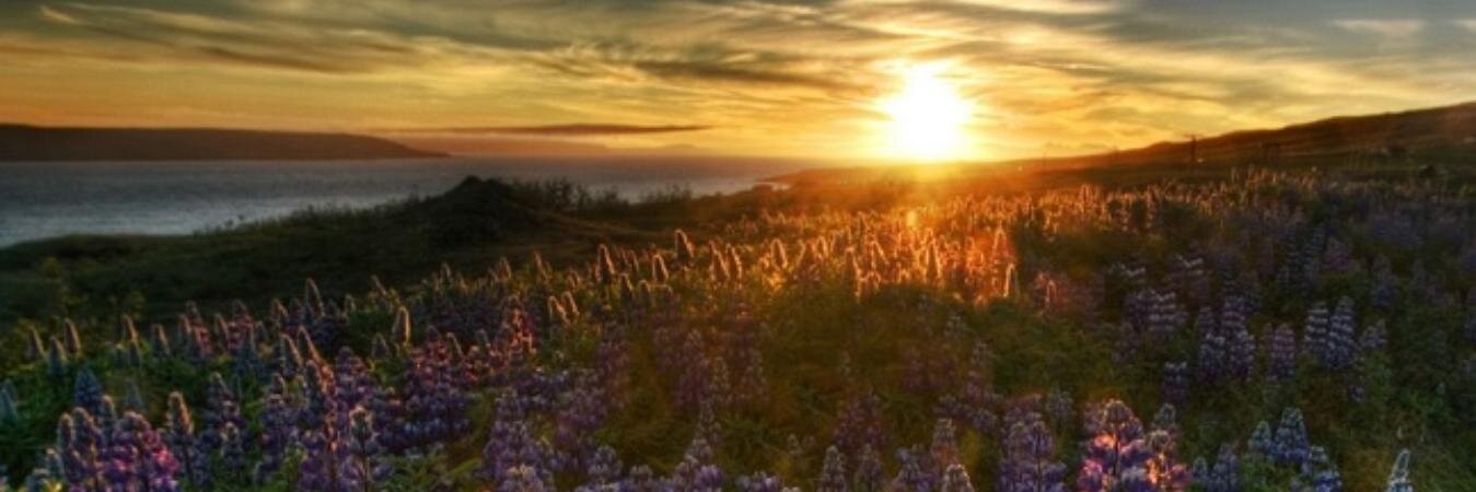 MaryZayek's profile banner image