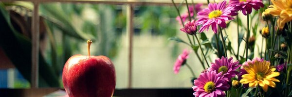 misscdmiller Profile Banner