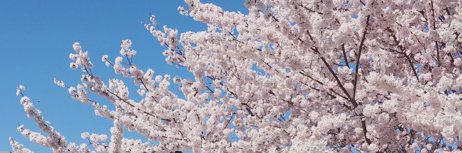 jblake1_'s profile banner image