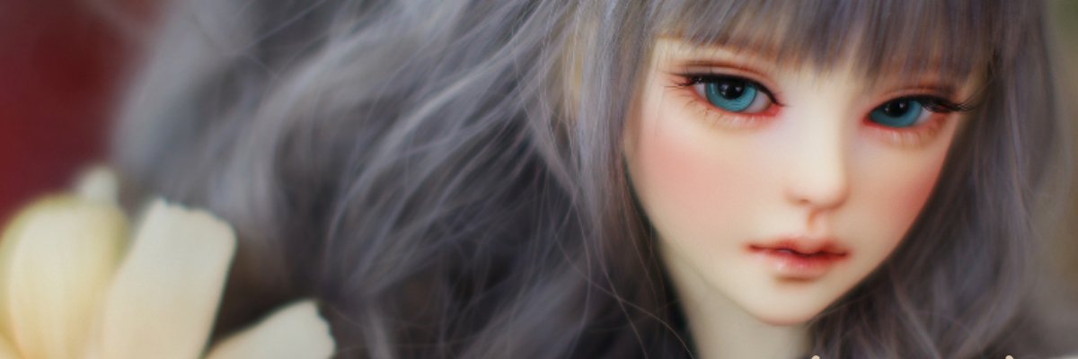 BJD CROBI banner