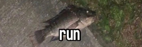 bigboijul Profile Banner