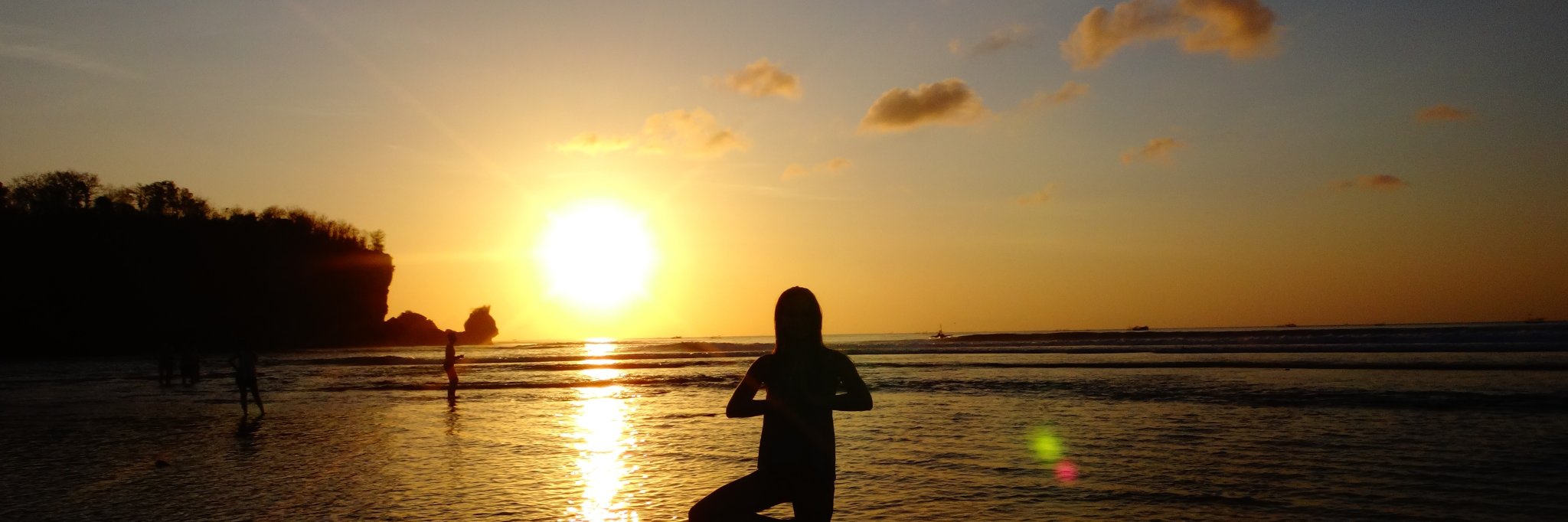 Sofia Collins banner