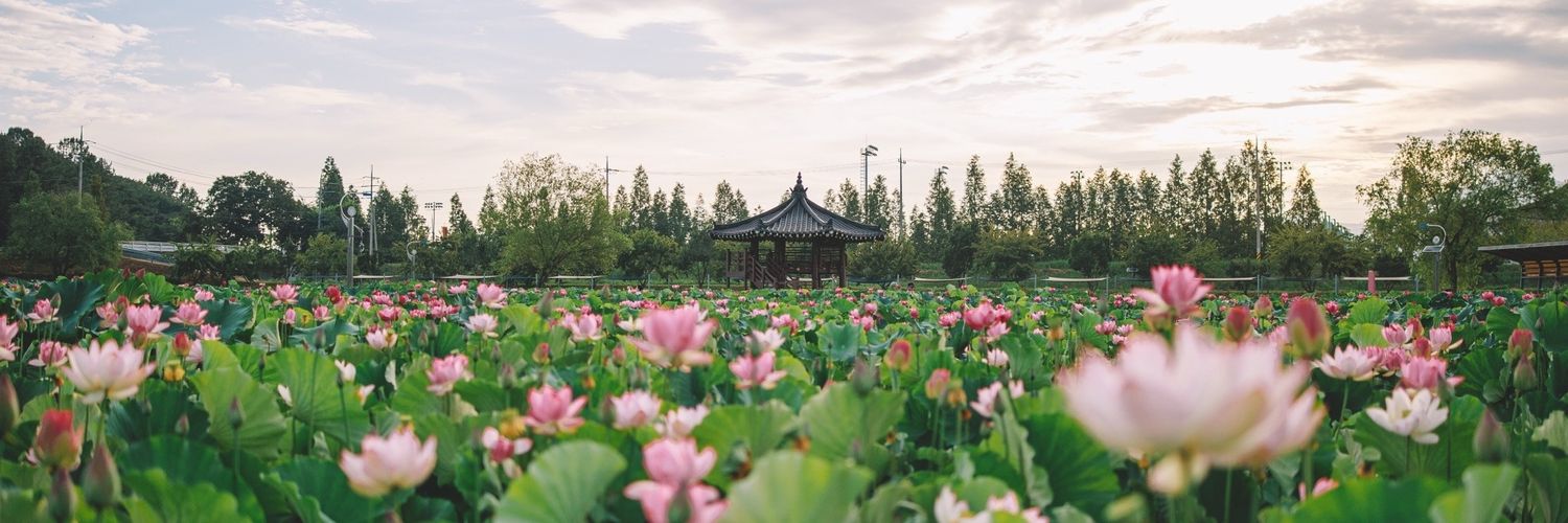 Pronome Neutro Matou A Minha Avó Okay Da Silva banner