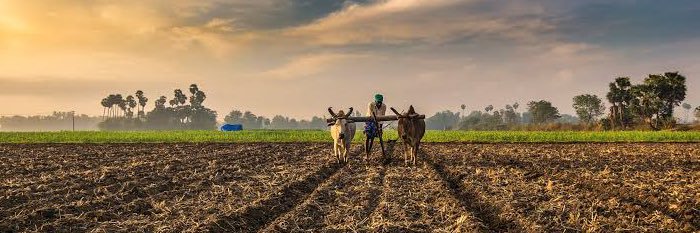 RitwikPandey99's profile banner image