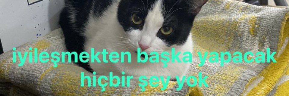 odtü'nün yalnız kuşu banner